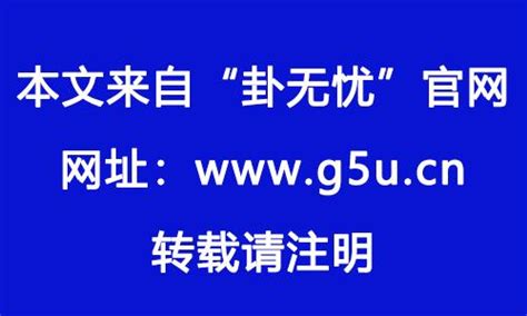 1982年是什麼生肖|82年属什么生肖 1982年与什么生肖合作最佳